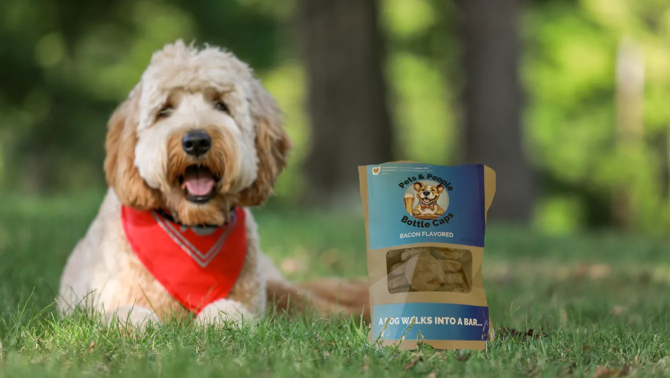 Golden-Doodle dog wearing red bandana poses behind a bag of dog treats